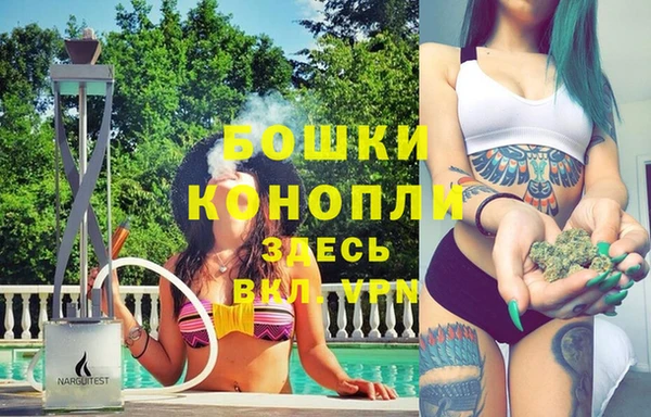 винт Богданович